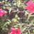 Lisa Jackson's profile image