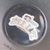 Eric Bourdon's profile image