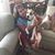 Lyndsay Bloech's profile image