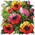 Theresa Winslow's profile image