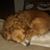 Jeanie Anderson's profile image