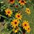 Martha Sommerer-Brenner's profile image