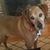 Betty Smith's profile image