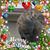 Rene Dougan's profile image