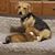 Scott Landers's profile image