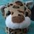 Kitty D'Leopard's profile image