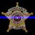 Tammy Brewer's profile image