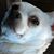 Brian Kuechler's profile image