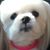 Margaret Moreland's profile image