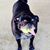 Tauni Manasse's profile image