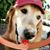 Tom Compise's profile image
