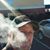 Donnie Tackett's profile image