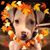 Michelle Hanks's profile image