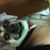 Rene Barbaree's profile image
