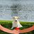 Mike Groth's profile image