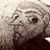 Patrick Monahan's profile image
