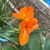 Letty Salas Garcia's profile image