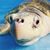 Marty Willis's profile image