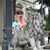 Mary Colburn Murphy's profile image
