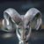 Mark Voos's profile image