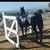 Susy Cordova's profile image