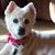 Debra Thome's profile image
