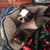 Barb Koss's profile image