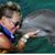 Marty Minnich Noeller's profile image