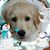 Karen Brink's profile image