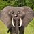 Rob Whitlock's profile image