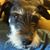 Garry Hardman's profile image
