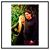 Amanda Birchfield Breckenridge's profile image