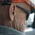 Lonnie Clear's profile image