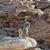 Debbie Mackey Hamby's profile image