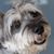 Nancy Losito's profile image