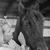 Julie Mattraw Vandewark's profile image