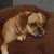 Cathy Loftus Patrick's profile image
