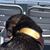 Bernie Hall's profile image