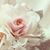 Trisa Huynh's profile image