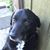 Francine Cannarozzi's profile image