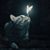 Tammy Luebbe's profile image