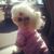 Michelle Price Barefield's profile image