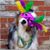 Kristina Delsanto-Smith's profile image
