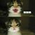 Tamie Deel's profile image