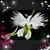 Miriam L. Thompson's profile image