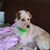 Diane Andrew's profile image