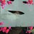 Richard Cuffman's profile image