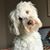 Liz Arbaugh's profile image