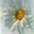 Carolyn Ihlen's profile image