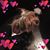 Terie Simmons's profile image